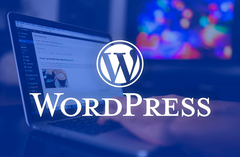 Как заработать на сайте WordPress: простые и эффективные способы