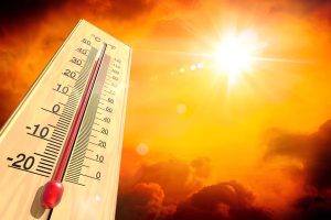 2025 год обещает быть самым жарким годом: прогнозируют синоптики