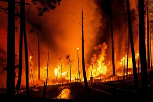 Огонь подступает к Алании: почему отдых россиян в Турции превратился в опасность