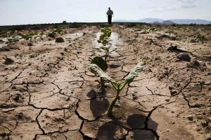 Почему цены на продукты осенью и зимой вырастят в 1,5 раза: мнение экспертов