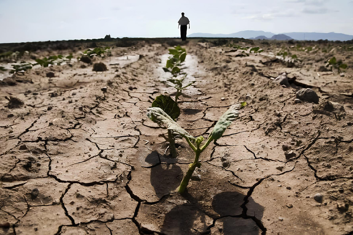 Почему цены на продукты осенью и зимой вырастят в 1,5 раза: мнение экспертов