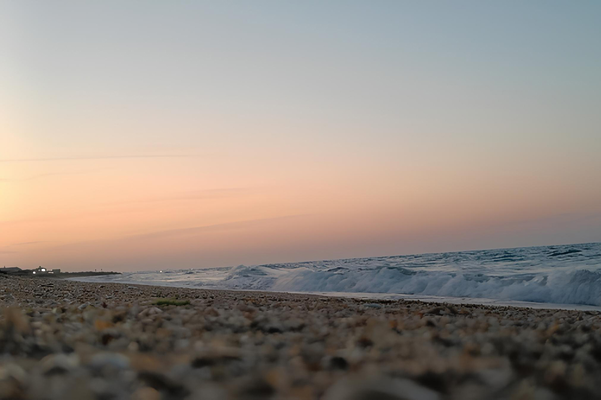 Честный обзор отдыха в Абхазии глазами российских туристов: плюсы и минусы