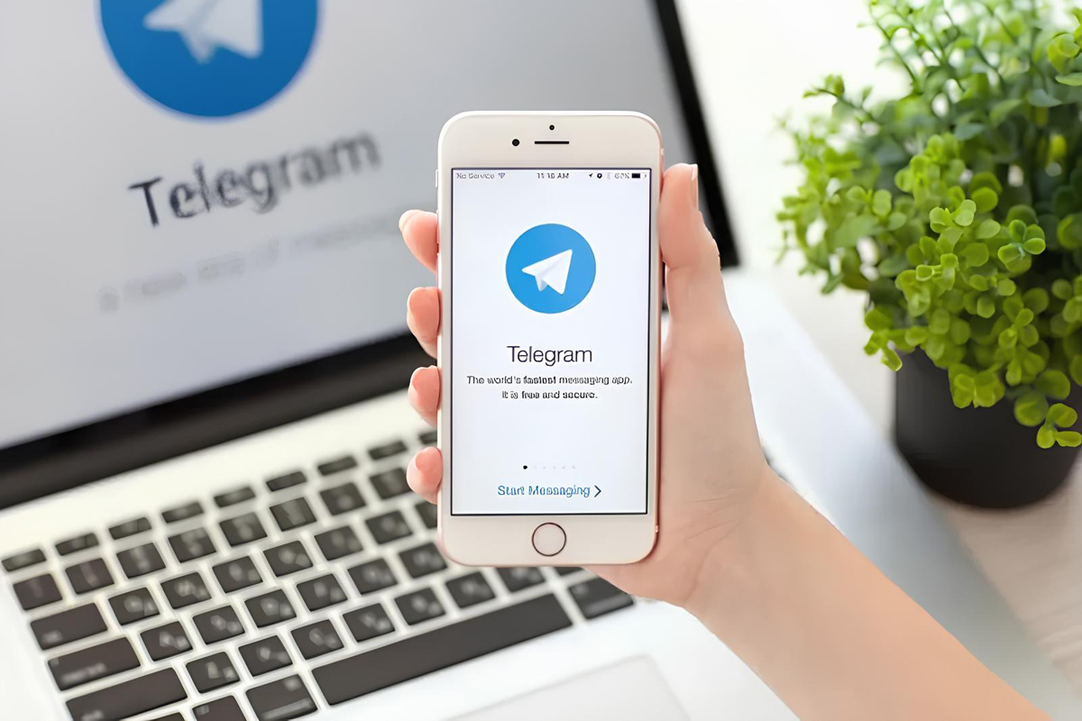 Топ интересных Telegram-ботов: сделайте свою жизнь удобнее